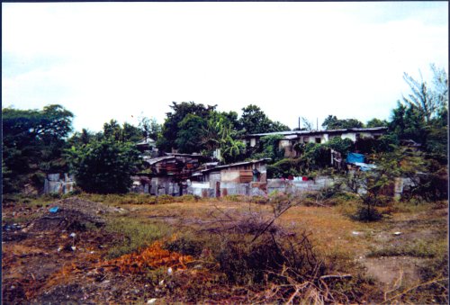 Kingston Slum In Kingston